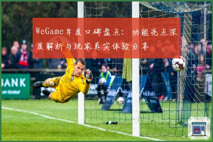 WeGame年度口碑盘点:功能亮点深度解析与玩家真实体验分享